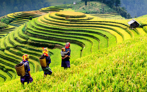 7 Days North Vietnam Tour