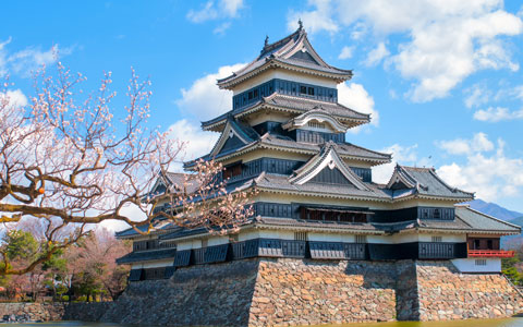 8 Days Golden Triangle Japan Tour