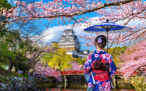 Himeji Castle