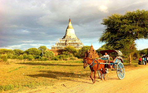 Horse Cart Ride