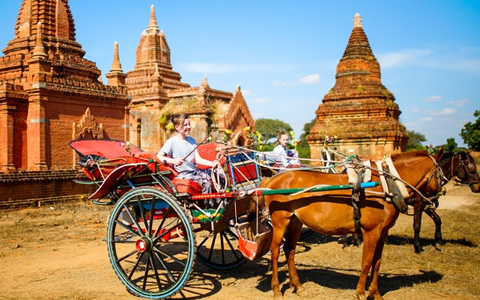 Horse Cart Ride