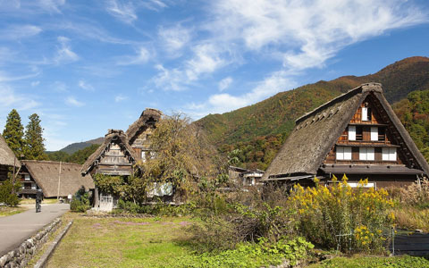 Shirakawago