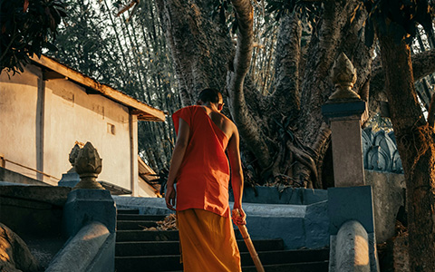 12 Days Best of Vietnam Laos Tour