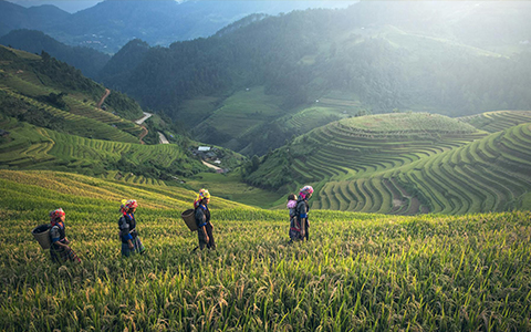 24 Days In-depth Vietnam Cambodia Laos Tour