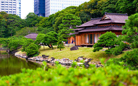 Hamarikyu Gardens