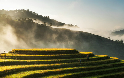 Vietnam Travel Restrictions: Are There any Travel Restrictions to Vietnam in 2022/2023?